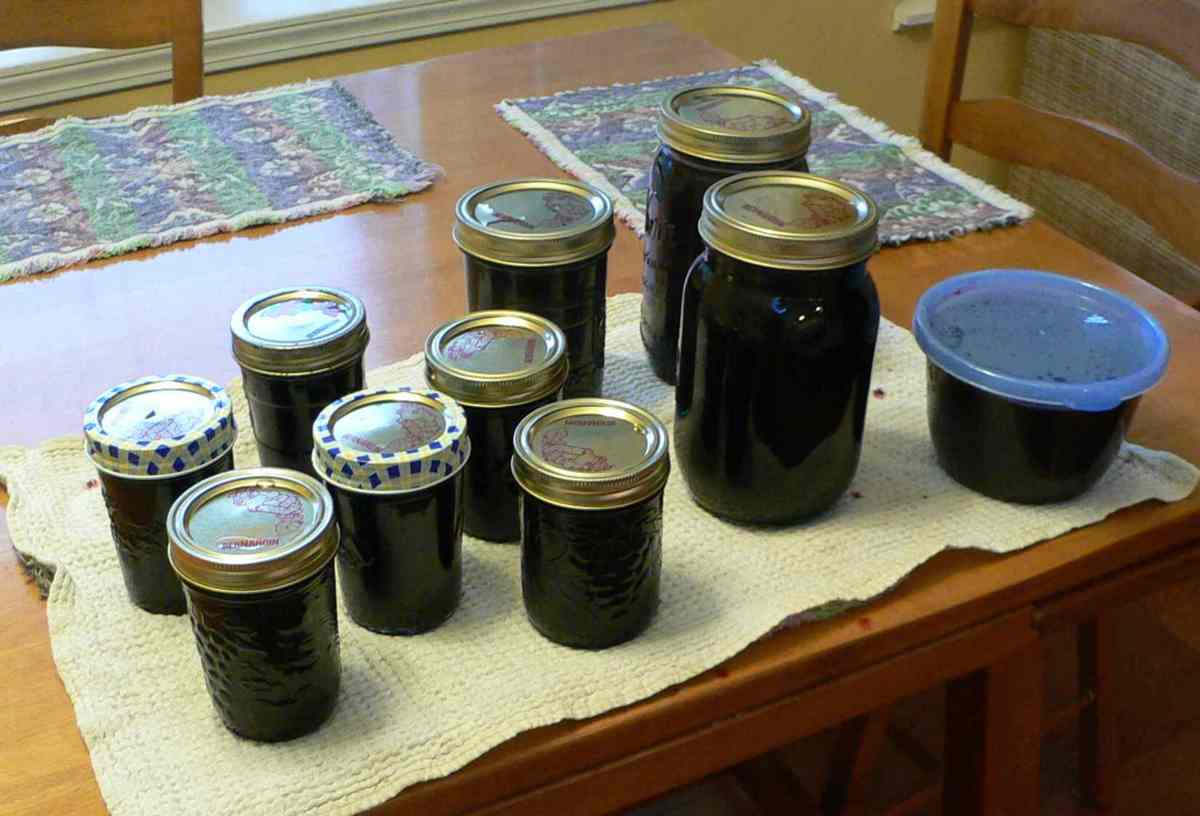 Oregon Grape Jam -- in jars